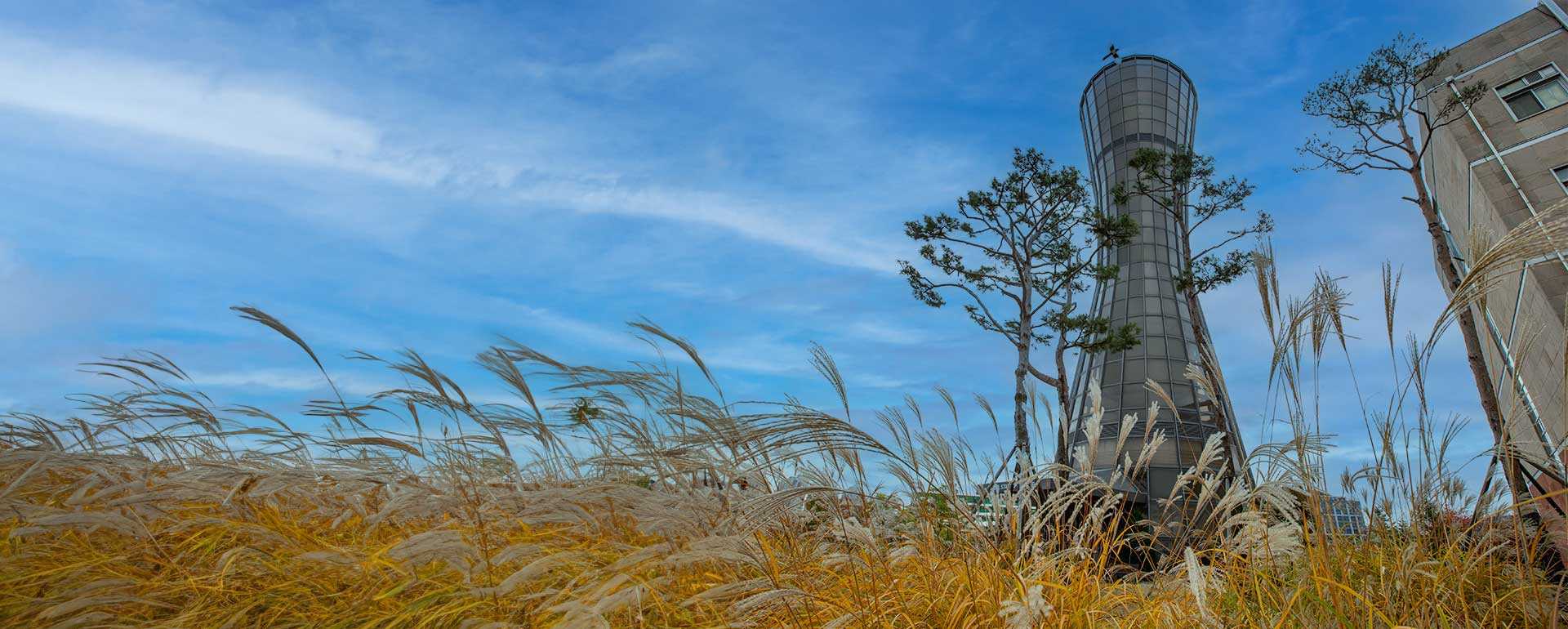 Observatory in autumn.jpg