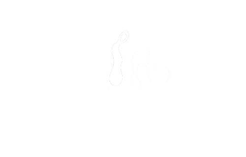 HamSung logo